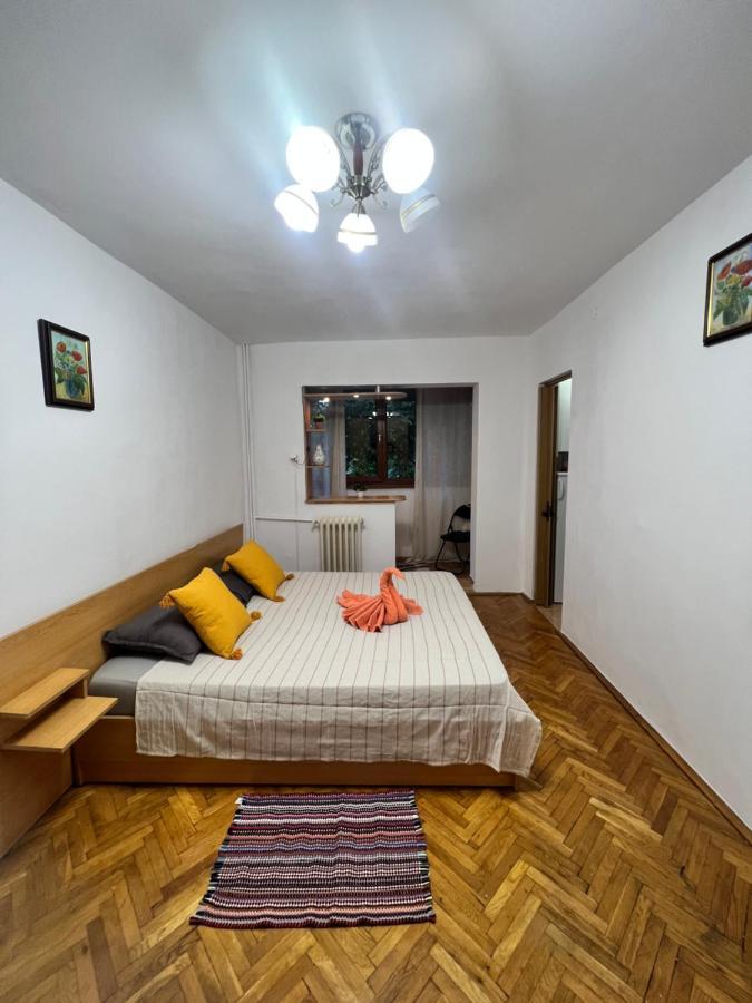 Miha Modern And Central Apartament Malul Muresului Αράντ Εξωτερικό φωτογραφία