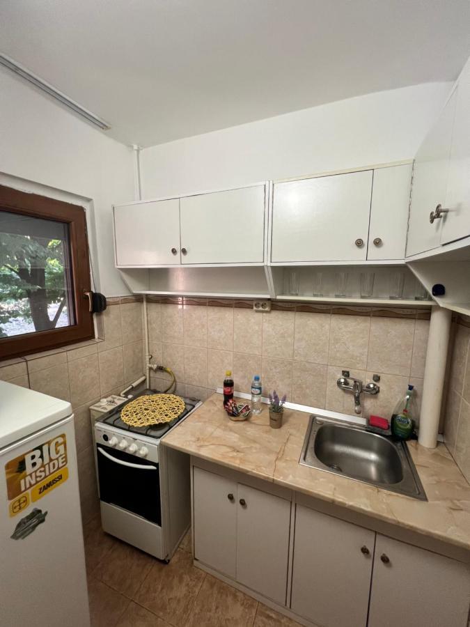 Miha Modern And Central Apartament Malul Muresului Αράντ Εξωτερικό φωτογραφία
