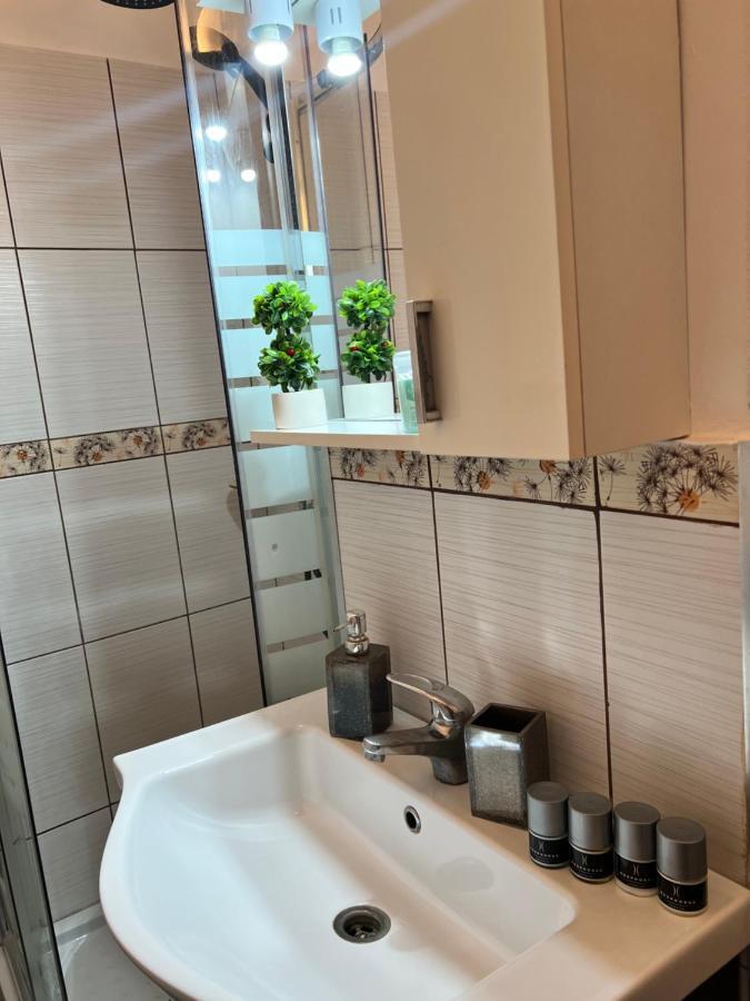 Miha Modern And Central Apartament Malul Muresului Αράντ Εξωτερικό φωτογραφία