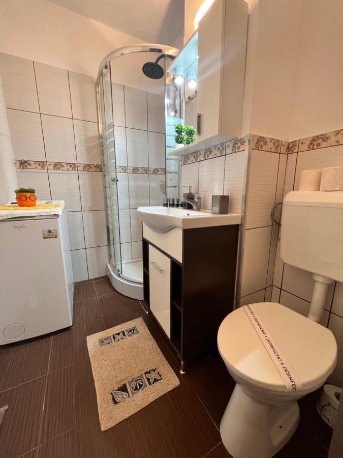 Miha Modern And Central Apartament Malul Muresului Αράντ Εξωτερικό φωτογραφία